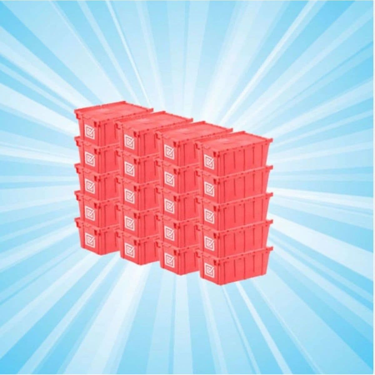 20 bin bundle