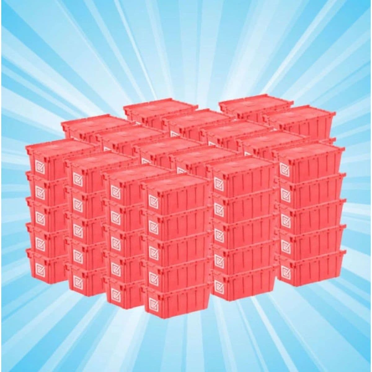Large Home 80 Box Bundle